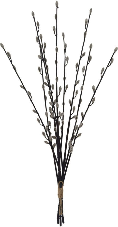 Gåsunger i bunt 63 cm